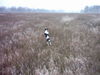 Parson-Russell-Terrier Foto: Ginny *jump* (ID 30216) Parson-Russell-Terrier Hund