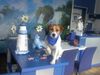Parson-Russell-Terrier Foto: Josy, der Empfangs-Chef (ID 31155) Parson-Russell-Terrier Hund