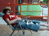 Parson-Russell-Terrier Hund
