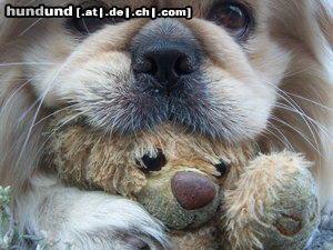 Pekingese Taiki mit seinem 