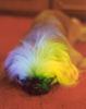 Pekingese Foto: Im Regenbogenfarbe (ID 27690) Pekingese Hund