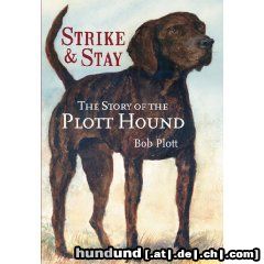 Plott Hound Plotthound Poltthounds Poltt Hounds Plotts Plothound