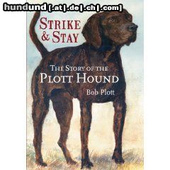 Plott Hound