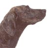 Plott Hound