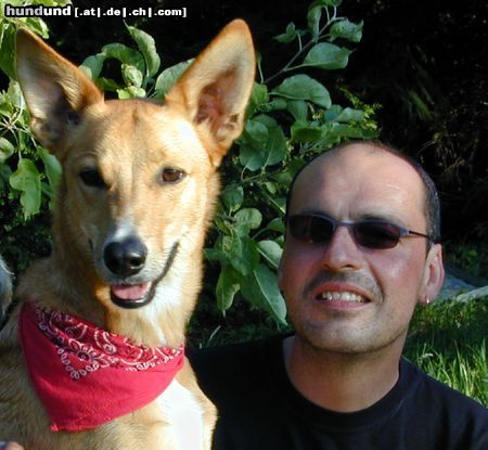 Podenco Canario Hunde Foto 3848 Podenco Canario ohne worte...