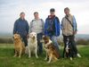 Polski Owczarek Podhalanski Hund