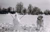 Polski Owczarek Podhalanski Hund