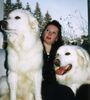 Polski Owczarek Podhalanski Foto: Kennel Snowy Coats (ID 9932) Polski Owczarek Podhalanski Hund
