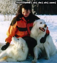 Polski Owczarek Podhalanski Hunde Foto 9933 Polski Owczarek Podhalanski Kennel Snowy Coats