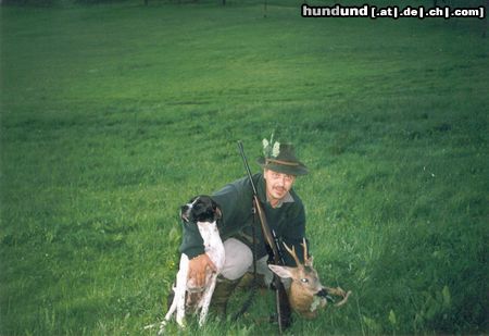 Pointer Hunde Foto 5786 Pointer Aiko nach erfolgreicher Nachsuche