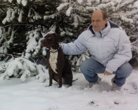 Pointer Hunde Foto 36874 in höherer Auflösung ansehen Pointer Ich bin jetzt schon fast 11 Monate alt. Gruss Temi