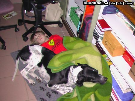 Pointer Hunde Foto 22707 in höherer Auflösung ansehen Pointer Frodo & Eric