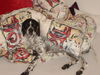 Pointer Foto: CORA - Meine Pointerdame (ID 35064) Pointer Hund