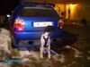 Pointer Foto: Anthony of fillys hill und der VW gti3 (ID 35906) Pointer Hund