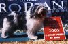 Polnischer Niederungshütehund Foto: Brawura Kontekst (ID 8211) Polnischer Niederungshütehund Hund