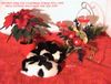 Polnischer Niederungshütehund Foto: Frohe Weihnachten (ID 27607) Polnischer Niederungshütehund Hund