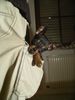 Praszký Krysavik Foto: Kalinka, 12 Wochen alt (ID 18574) Praszký Krysavik Hund