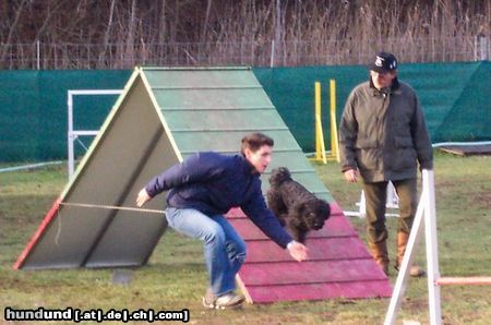 Puli Csávai Táltos beim Agility Turnier