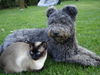 Pumi Foto: dicke freunde... (ID 32260) Pumi Hund