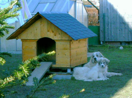 Pyrenäenberghund Hunde Foto 37084 in höherer Auflösung ansehen Pyrenäenberghund