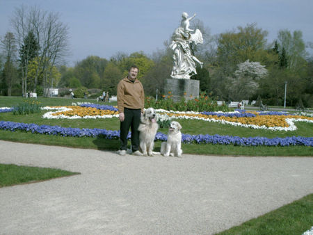 Pyrenäenberghund Hunde Foto 37836 in höherer Auflösung ansehen Pyrenäenberghund mein erster Ausflug mit Benett