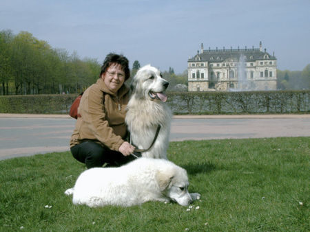 Pyrenäenberghund Hunde Foto 37847 in höherer Auflösung ansehen Pyrenäenberghund Ausflug mit Benett
