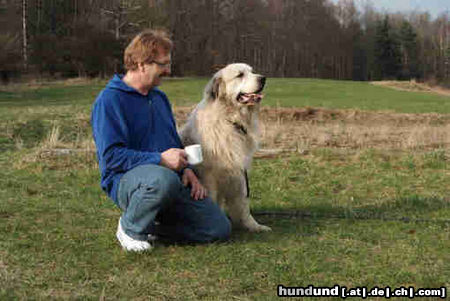 Pyrenäenberghund Hunde Foto 44048 in höherer Auflösung ansehen Pyrenäenberghund Benett