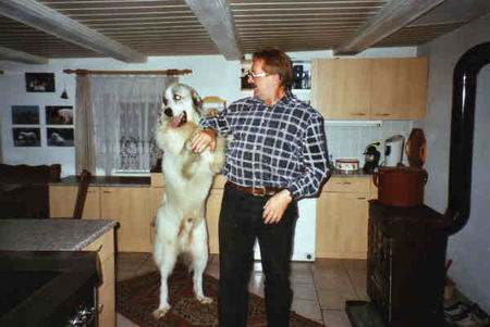 Pyrenäenberghund Hunde Foto 33499 in höherer Auflösung ansehen Pyrenäenberghund