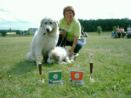 Pyrenäenberghund Hunde Foto 38784 Pyrenäenberghund