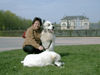 Pyrenäenberghund Foto: Ausflug mit Benett (ID 37847) Pyrenäenberghund Hund