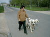 Pyrenäenberghund Foto: Ausflug mit Benett (ID 37848) Pyrenäenberghund Hund