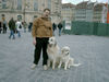 Pyrenäenberghund Foto: Ausflug mit Benett (ID 37849) Pyrenäenberghund Hund