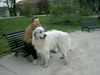 Pyrenäenberghund Foto: Ausflug mit Benett (ID 37852) Pyrenäenberghund Hund