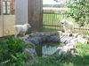 Pyrenäenberghund Foto: Don Balu mit Charmain (ID 38934) Pyrenäenberghund Hund