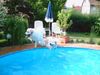 Pyrenäenberghund Foto: ein erholsammer Urlaub (ID 32626) Pyrenäenberghund Hund