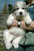 Pyrenäenberghund Foto: ganz der Papa (ID 44046) Pyrenäenberghund Hund