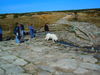 Pyrenäenberghund Foto: mmmhh ein Schluck aus der Elbquelle (ID 35859) Pyrenäenberghund Hund