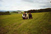 Pyrenäenberghund Foto: Frauchen und Herrchen gehen mit mir wandern (ID 32115) Pyrenäenberghund Hund