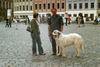 Pyrenäenberghund Foto: auf dem Marktplatz vor der Frauenkirche (ID 33715) Pyrenäenberghund Hund