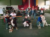 Pyrenäenberghund Foto: Bozena Ausstellung in Bad Vöslau Östereich VI CACIB 1.Platz bei Hündinen 2. Platz best of Show (ID 31874) Pyrenäenberghund Hund