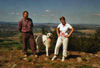 Pyrenäenberghund Foto: mein Urlaub ist wunderschön (ID 33713) Pyrenäenberghund Hund