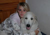 Pyrenäenberghund Foto: Pyrenäenberghunde vom Araberhof (ID 34491) Pyrenäenberghund Hund