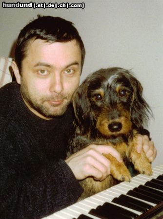 Rauhhaardackel (Zwergdackel) Hunde Foto 12649 Rauhhaardackel (Zwergdackel) NUTSCHI - erster komponierender Dackel der Welt