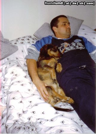 Rauhhaardackel (Zwergdackel) Hunde Foto 13031 Rauhhaardackel (Zwergdackel) Schlafen mit Papa