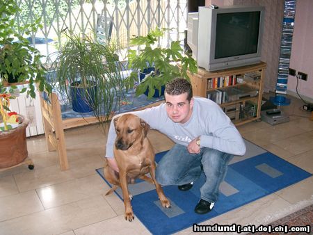 Rhodesian Ridgeback Hunde Foto 12780 Rhodesian Ridgeback Ben und Herrchen