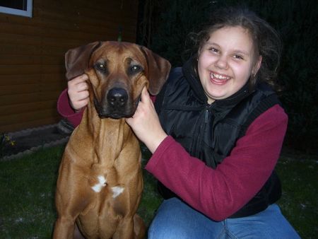 Rhodesian Ridgeback Hunde Foto 31714 Rhodesian Ridgeback zwei Grinsebacken