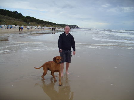 Rhodesian Ridgeback My Lennox