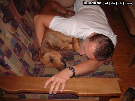 Rhodesian Ridgeback Hunde Foto 20722 Rhodesian Ridgeback Als ich klein war hatten wir da noch zu zweit platz !!
