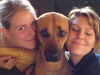 Rhodesian Ridgeback Foto: Schmuse-Ashantij (ID 24944) Rhodesian Ridgeback Hund