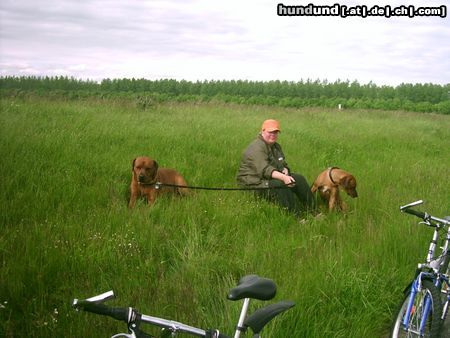 Rhodesian Ridgeback Hunde Foto 13426 Rhodesian Ridgeback uiuiuui eine anstrengende fahrradtour!!!